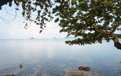 Awa Resort Koh Chang l เอวา รีสอร์ท เกาะช้าง