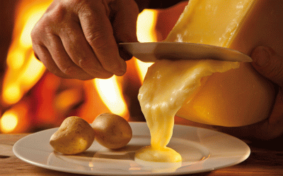 เทศกาลอาหารบุฟเฟ่ต์ที่เสิร์ฟชีสละลาย Raclette and Morbier