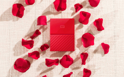 เก็บความทรงจำแห่งรักให้อยู่นิรันดร์ด้วย My Passport™ จากเวสเทิร์น ดิจิตอล