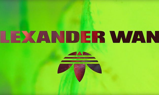 Adidas Originals by ALEXANDER WANG Drop1 Season 2