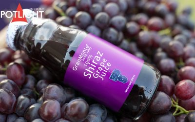 Harvest Festival 2018 เทศกาลเก็บเกี่ยวองุ่นไวน์ที่ไร่ Gran-Monte