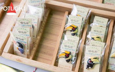 รวมใจให้นกเงือก…กิจกรรมต่อชีวิตนกเงือก