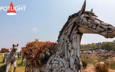 10 สถานที่เด่นต้องเที่ยว ไปเขาใหญ่ต้องเช็กอิน ฟินตลอดปี