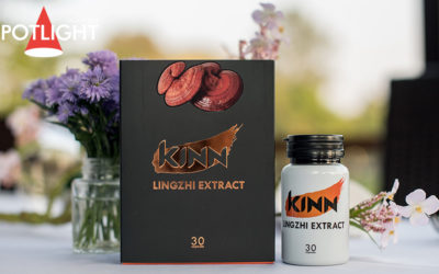 มารู้จักคุณค่าทางการแพทย์ของ ‘เห็ดหลินจือ’